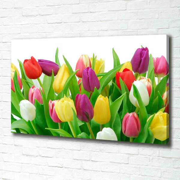 Canvas schilderij Kleurrijke tulpen