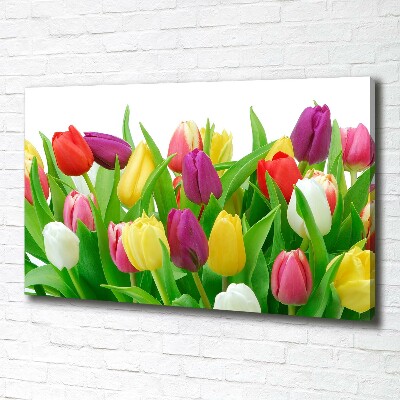 Canvas schilderij Kleurrijke tulpen