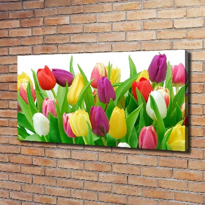 Canvas schilderij Kleurrijke tulpen
