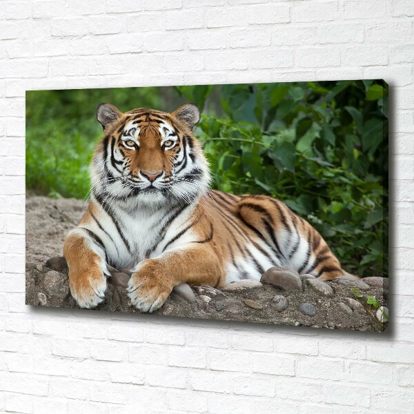 Canvas schilderij Siberische tijger