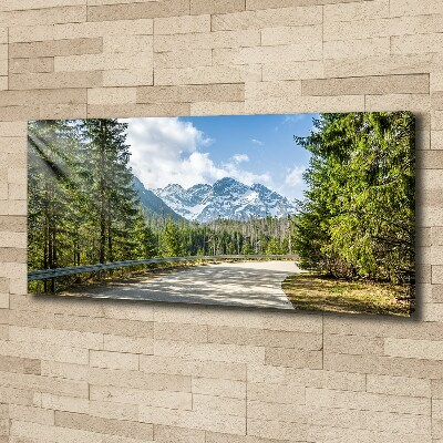 Schilderij op canvas Tatra-gebergteweg