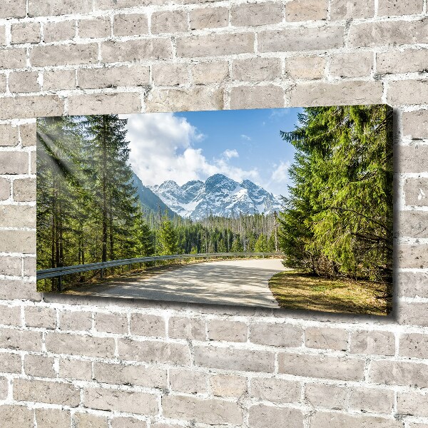Schilderij op canvas Tatra-gebergteweg