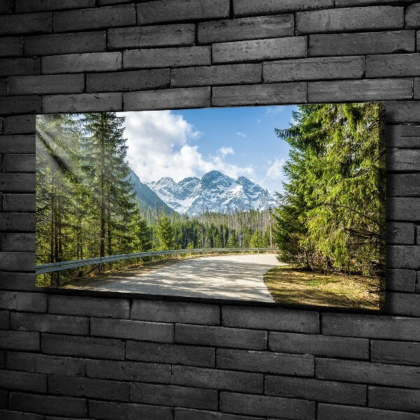 Schilderij op canvas Tatra-gebergteweg