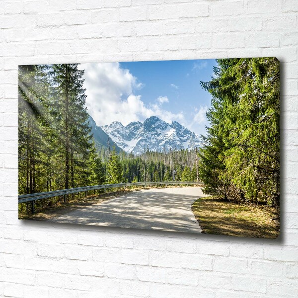 Schilderij op canvas Tatra-gebergteweg