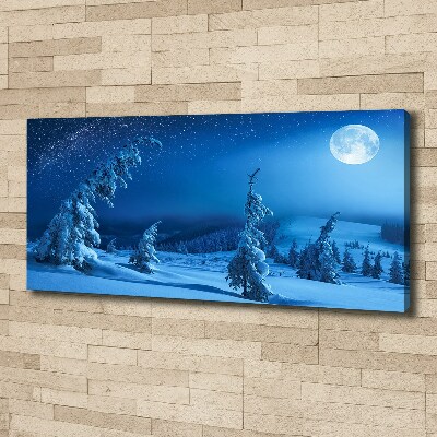 Canvas schilderij Maanlicht