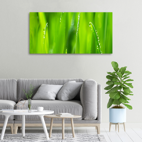 Schilderij op canvas Jonge haver