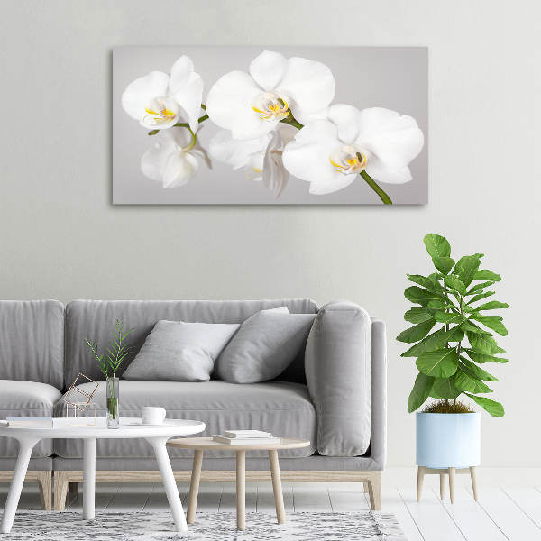 Foto op canvas Orchidee