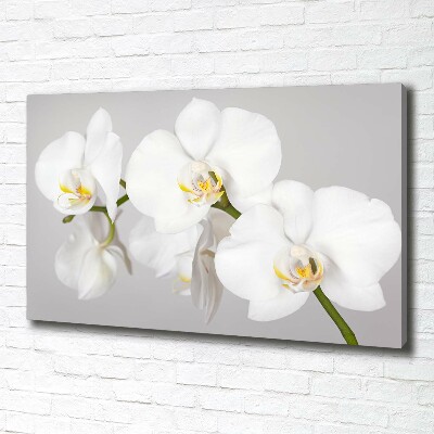 Foto op canvas Orchidee