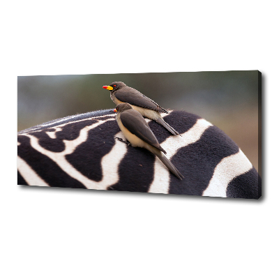 Foto canvas Vogels en zebra's