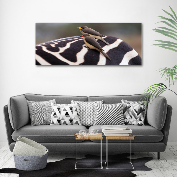 Foto canvas Vogels en zebra's