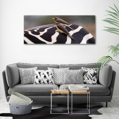 Foto canvas Vogels en zebra's