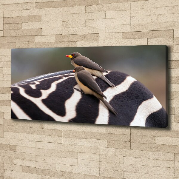 Foto canvas Vogels en zebra's
