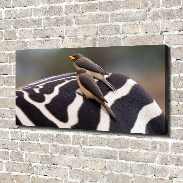 Foto canvas Vogels en zebra's