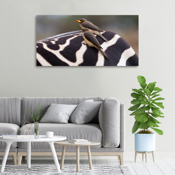 Foto canvas Vogels en zebra's