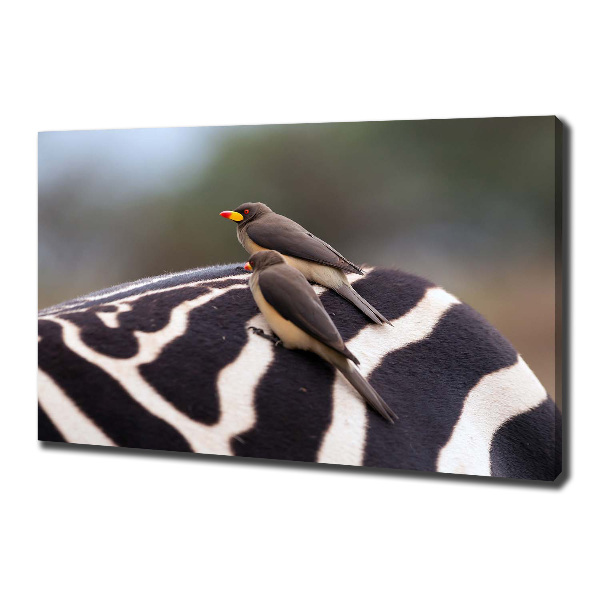 Foto canvas Vogels en zebra's
