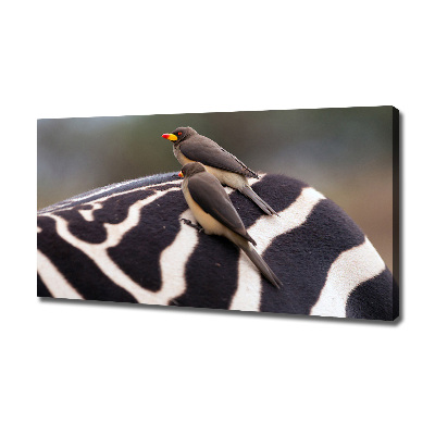 Foto canvas Vogels en zebra's