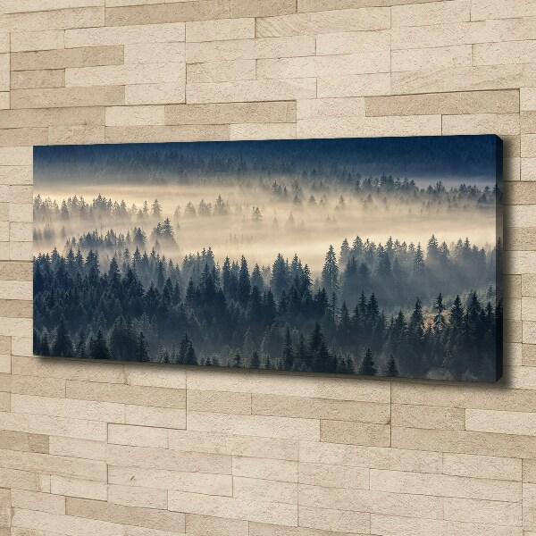 Canvas schilderij Mist boven het bos