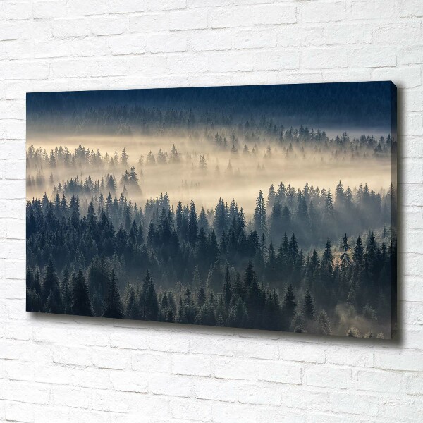 Canvas schilderij Mist boven het bos