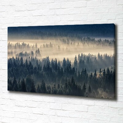 Canvas schilderij Mist boven het bos