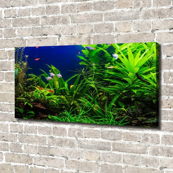 Schilderij op canvas Vissen in het aquarium