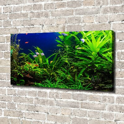 Schilderij op canvas Vissen in het aquarium