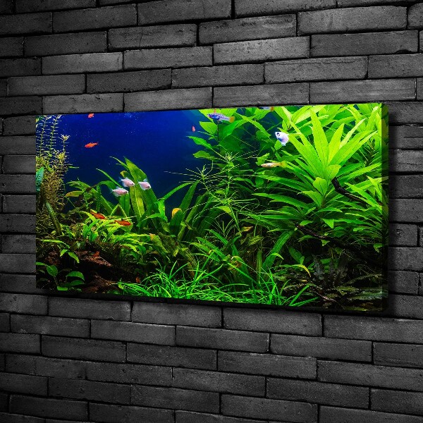 Schilderij op canvas Vissen in het aquarium