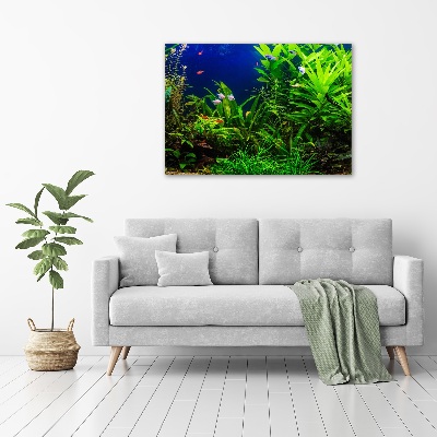 Schilderij op canvas Vissen in het aquarium