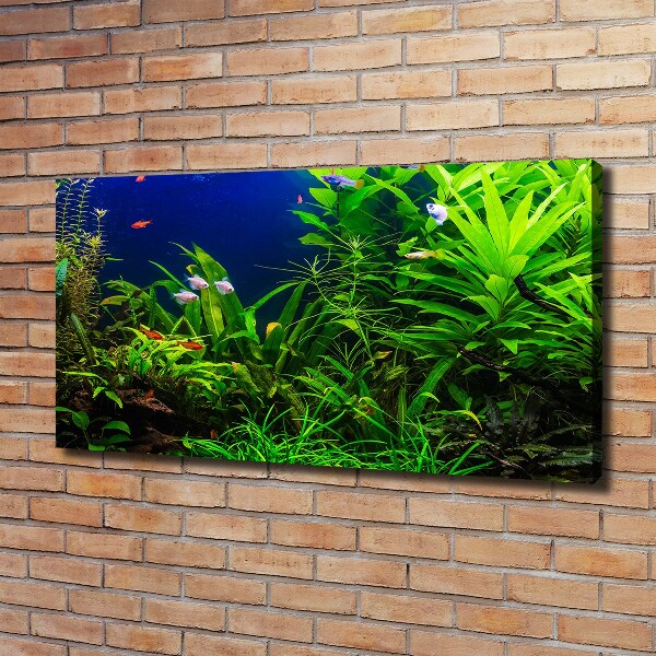 Schilderij op canvas Vissen in het aquarium