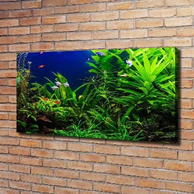 Schilderij op canvas Vissen in het aquarium
