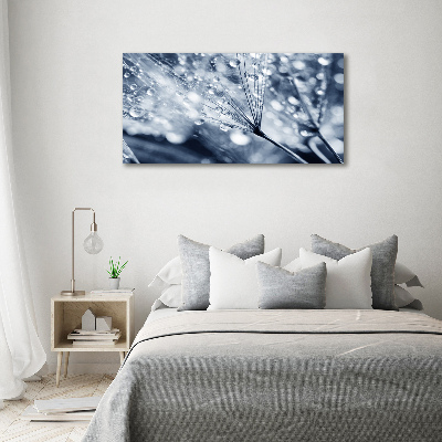 Canvas foto Paardenbloemzaden