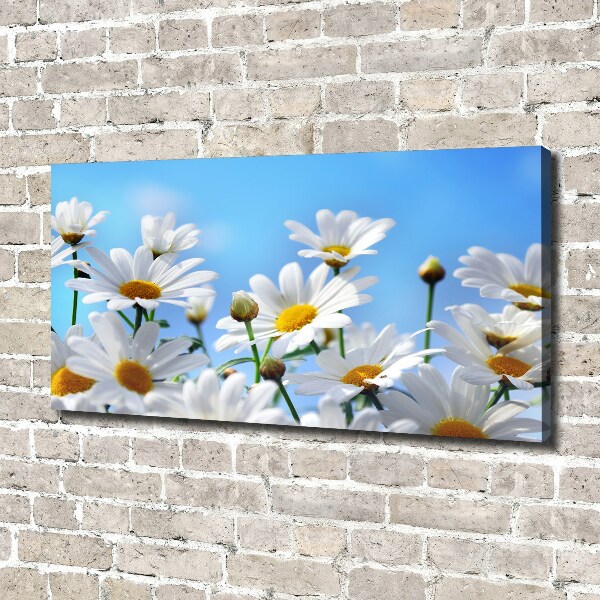 Canvas schilderij Madeliefjes