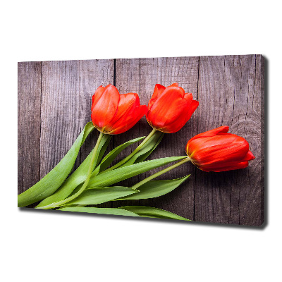 Foto op canvas Rode tulpen