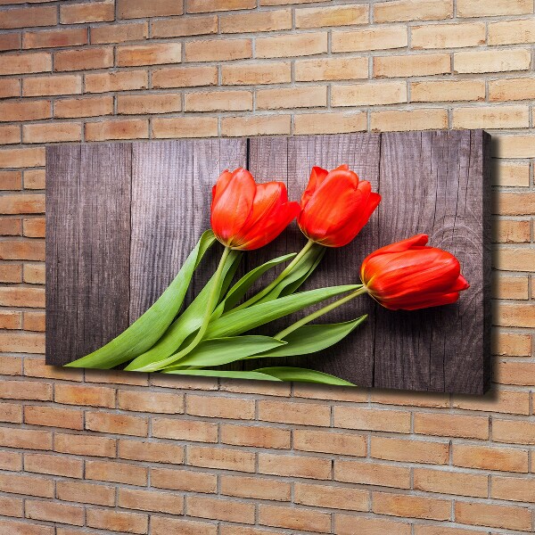 Foto op canvas Rode tulpen