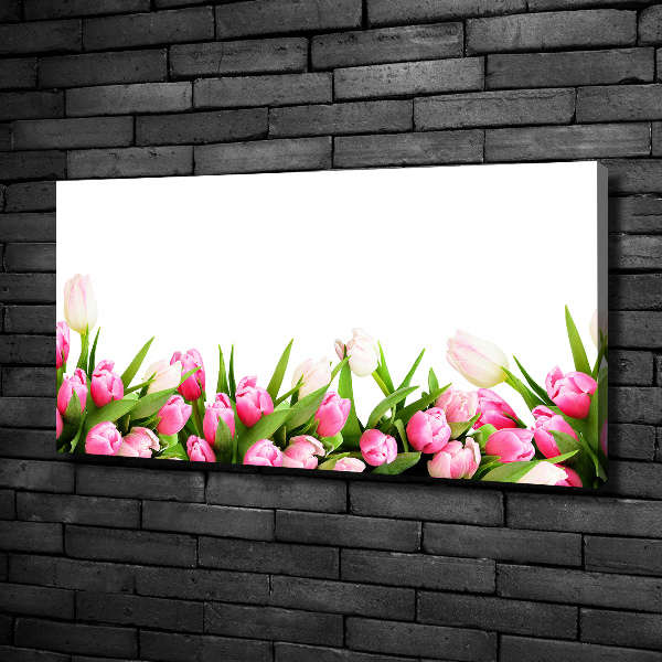 Canvas foto Roze tulpen
