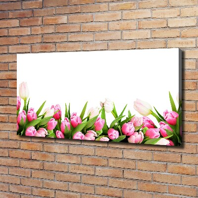 Canvas foto Roze tulpen