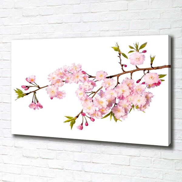 Canvas schilderij Doorn