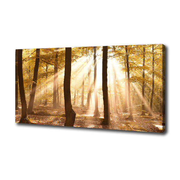Canvas foto Bos in de herfst