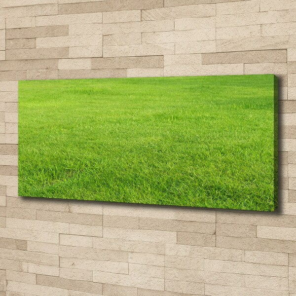 Canvas schilderij Groen gras