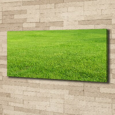 Canvas schilderij Groen gras