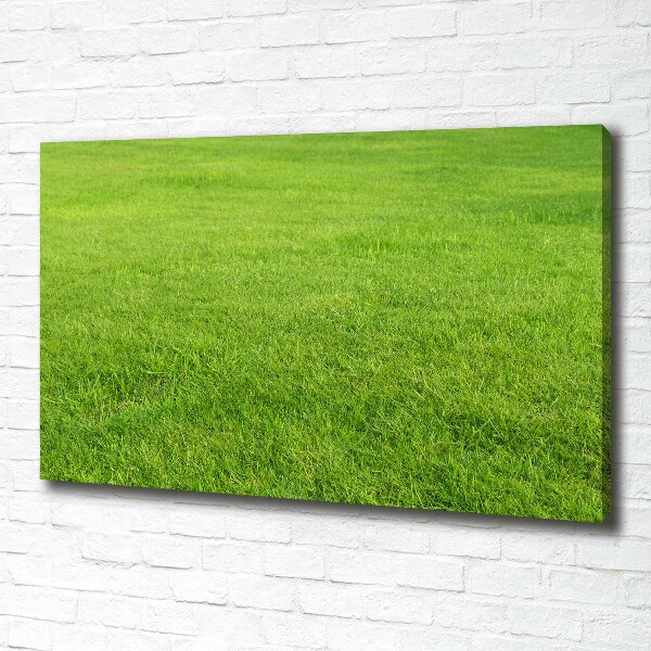 Canvas schilderij Groen gras