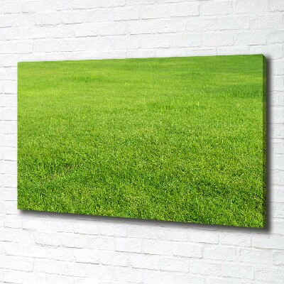 Canvas schilderij Groen gras