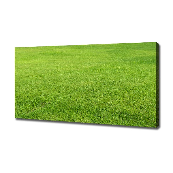 Canvas schilderij Groen gras