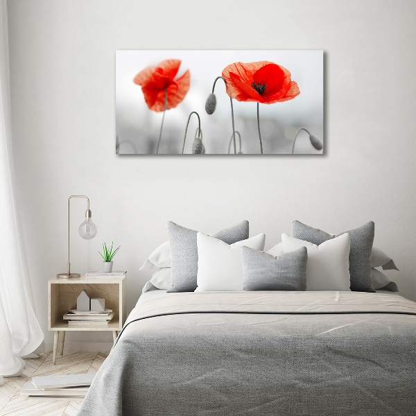 Foto canvas Klaprozen