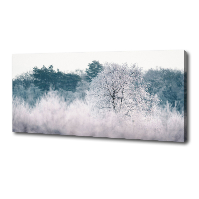 Schilderij op canvas Bomen in de winter