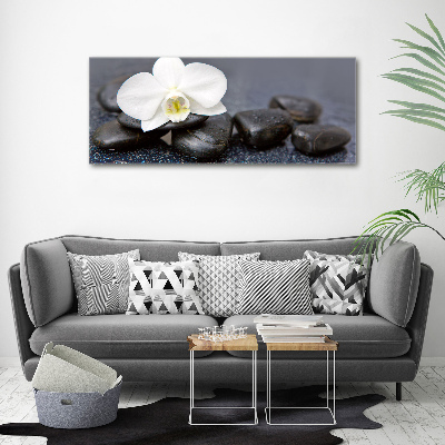 Foto op canvas Orchidee