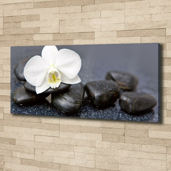 Foto op canvas Orchidee