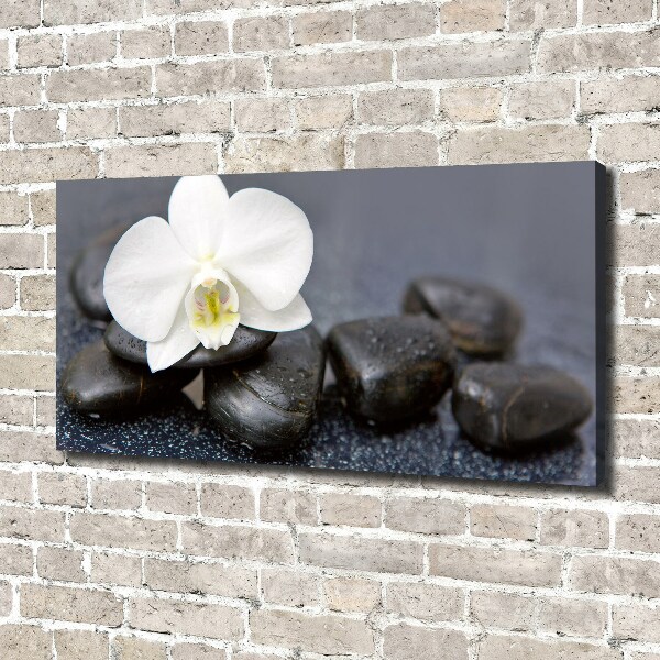 Foto op canvas Orchidee