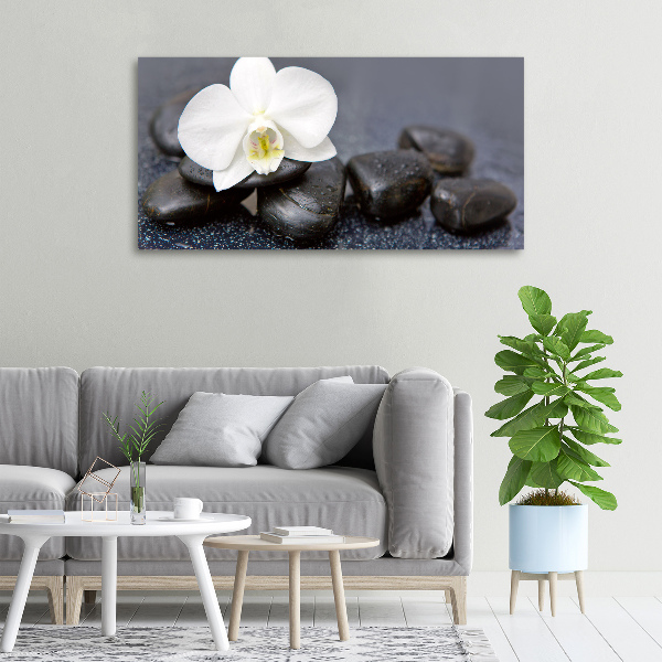 Foto op canvas Orchidee