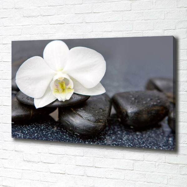 Foto op canvas Orchidee