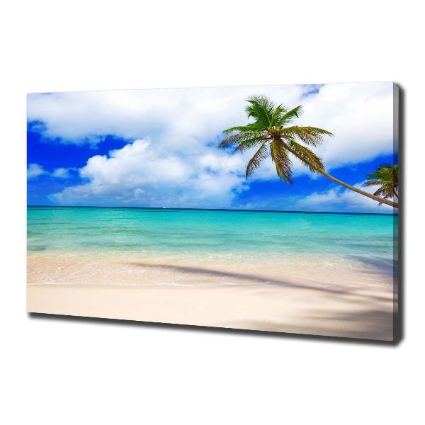 Foto canvas Caribisch strand